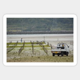 Seaweed Farmer Sticker